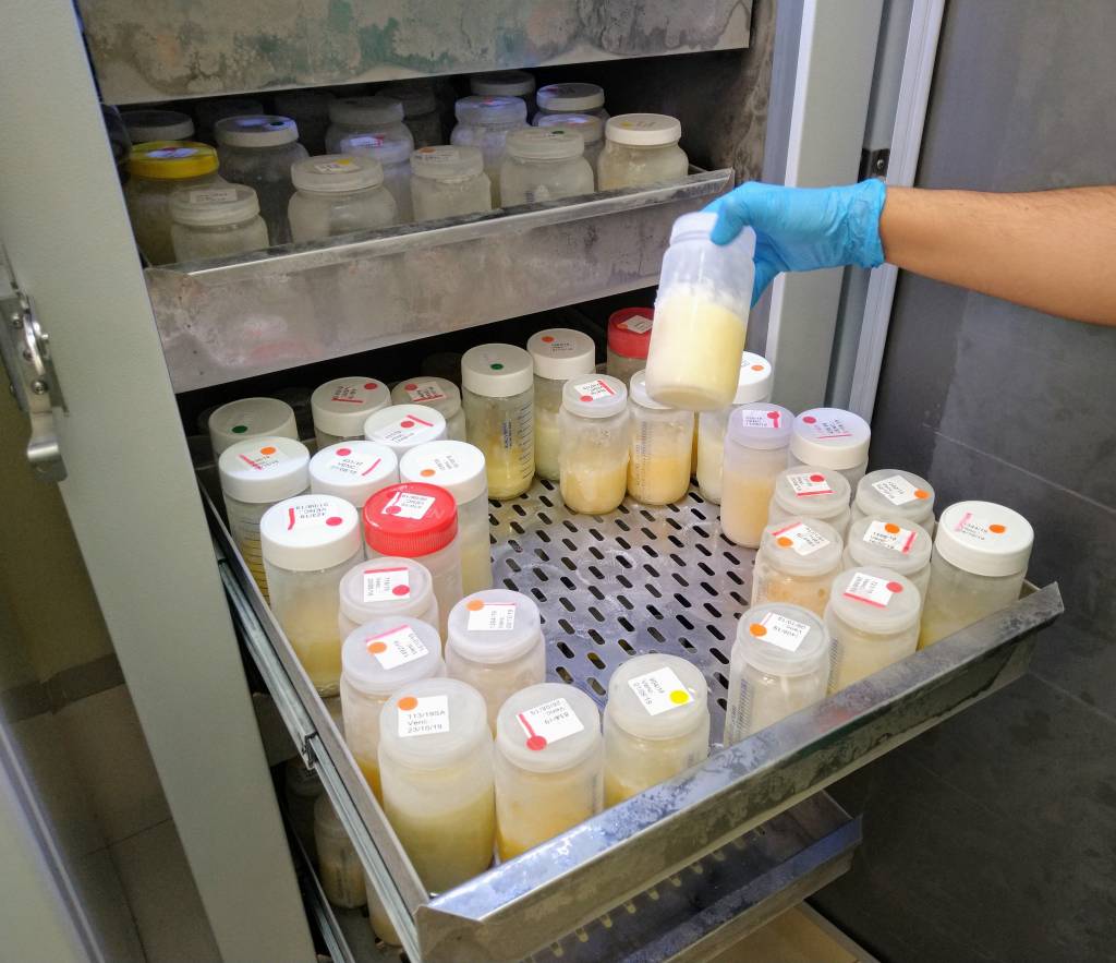 Com estoque de leite materno muito baixo, Maternidade de Campinas pede doações