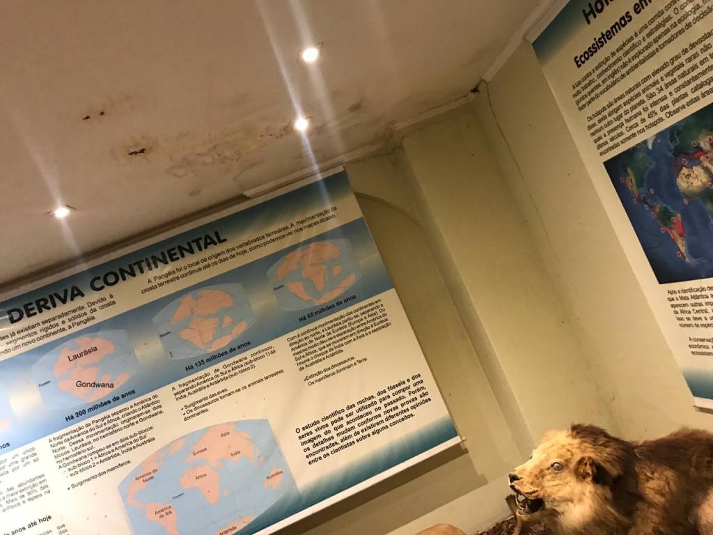 Museu do Bosque tem rachaduras e risco de incêndio