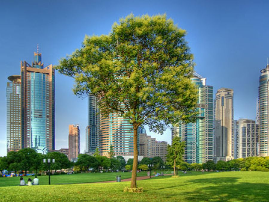 Unicamp discute planejamento das cidades na perspectiva da promoção da saúde