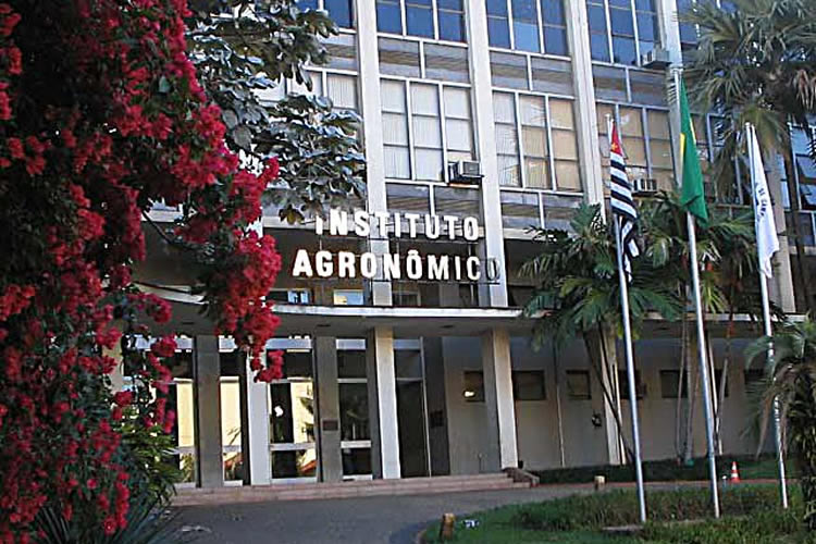 IAC celebra 132 anos com nova pesquisa e até perfume