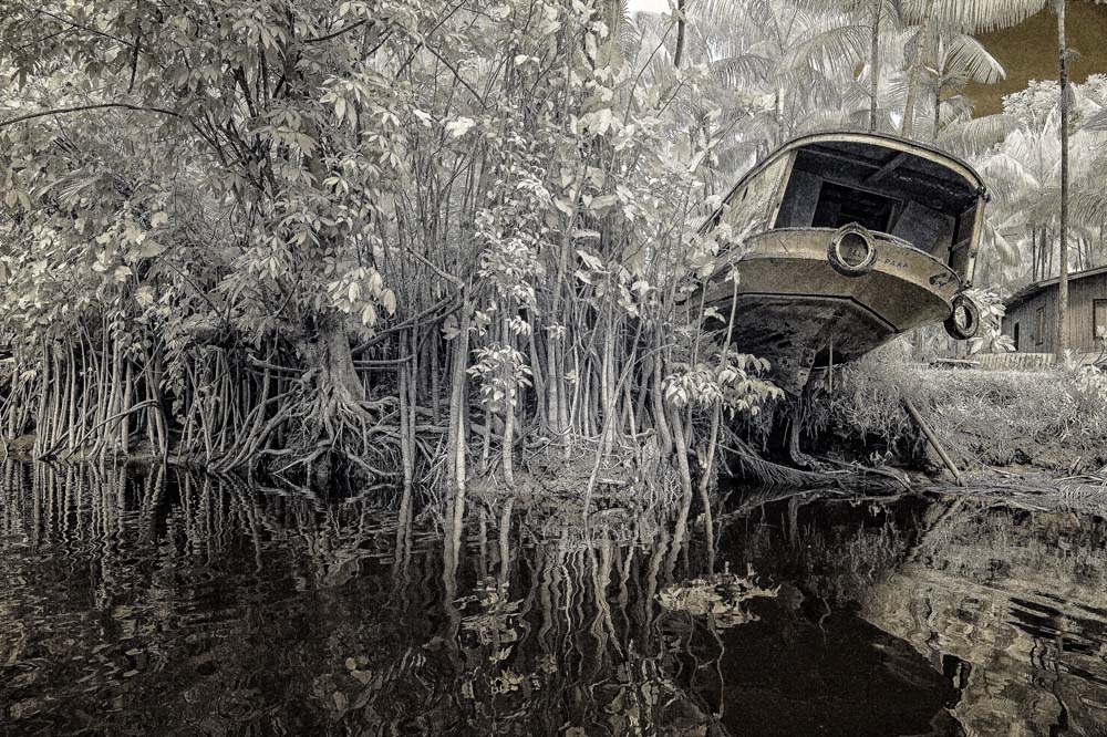 Mostra de Antonio Saggese reúne fotos da floresta amazônica na Casa de Vidro