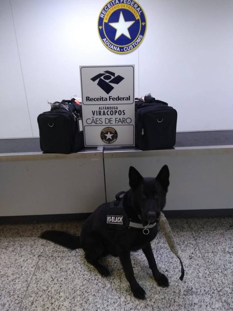 Tratorista é preso com 49,5kg de cocaína no Aeroporto de Viracopos