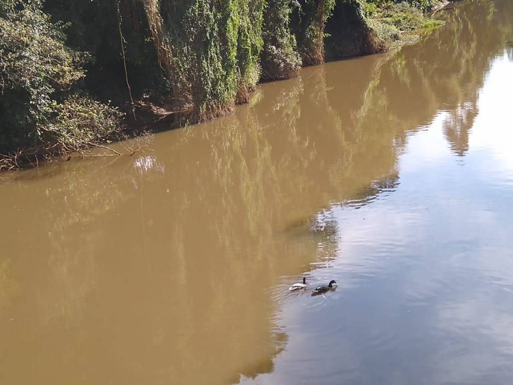 Região de Campinas passa a receber mais água