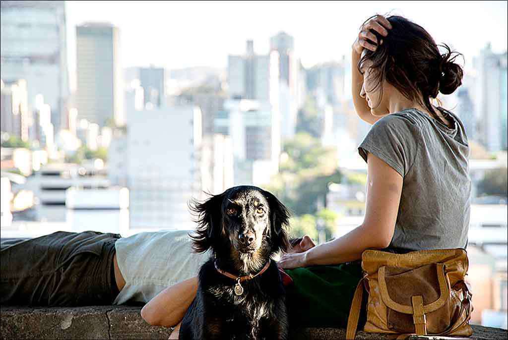 Pontos MIS de Holambra exibe ” A Cidade Onde Envelheço”