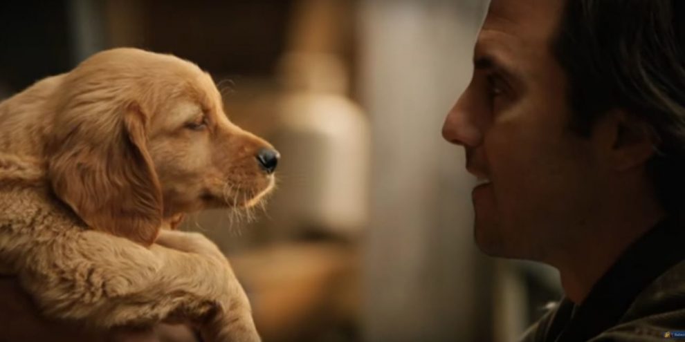 Dos produtores de “Marley e Eu”, longa “Meu Amigo Enzo” chega aos cinemas