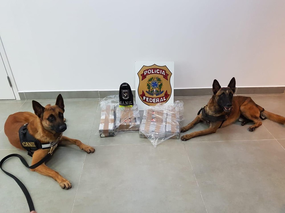 PF apreende 22kg de cocaína no Aeroporto de Viracopos