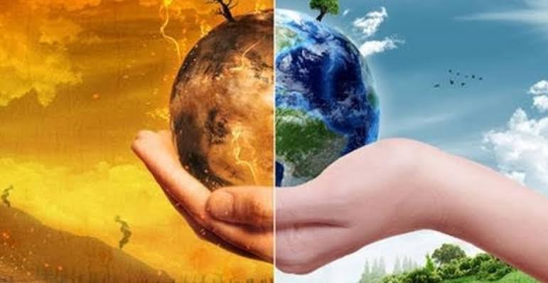 As mudanças climáticas do mundo afetando até a agricultura