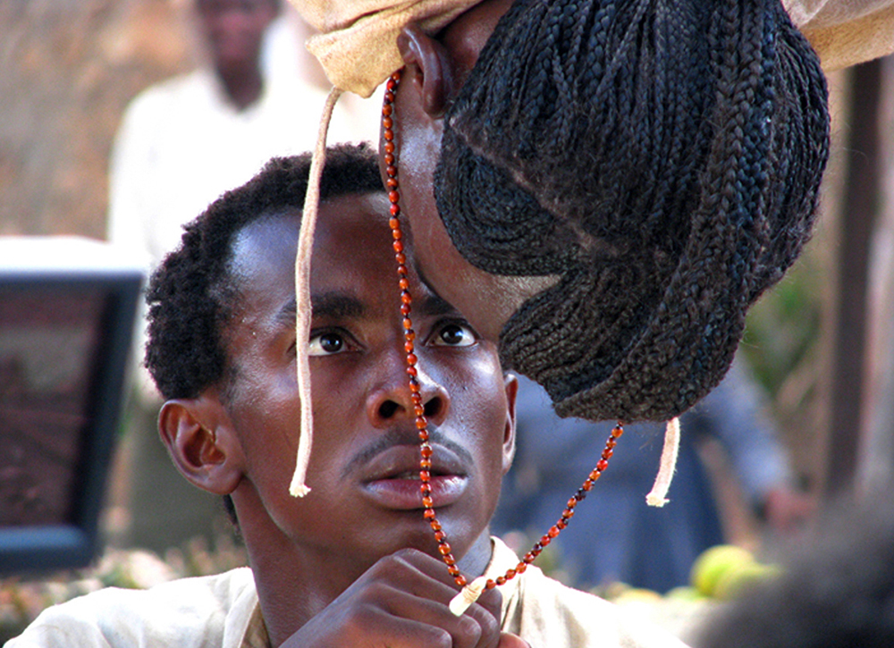 Biblioteca Municipal de Holambra exibe “Besouro”
