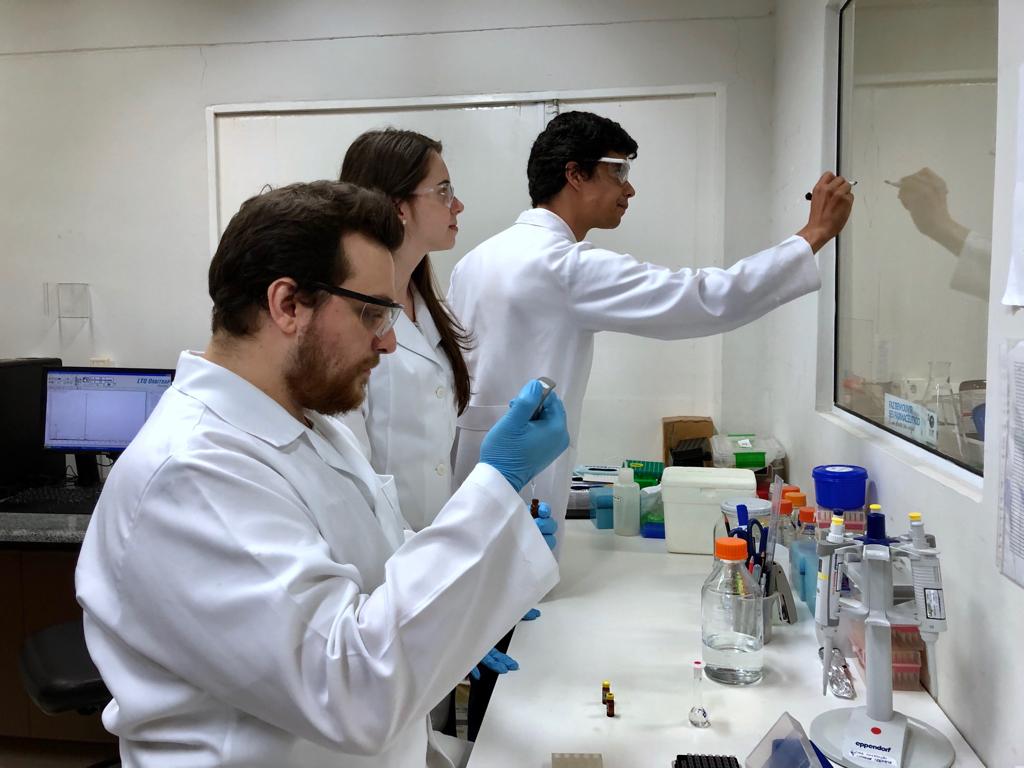 Estúdio Agro: pesquisa pode trazer avanço para o setor