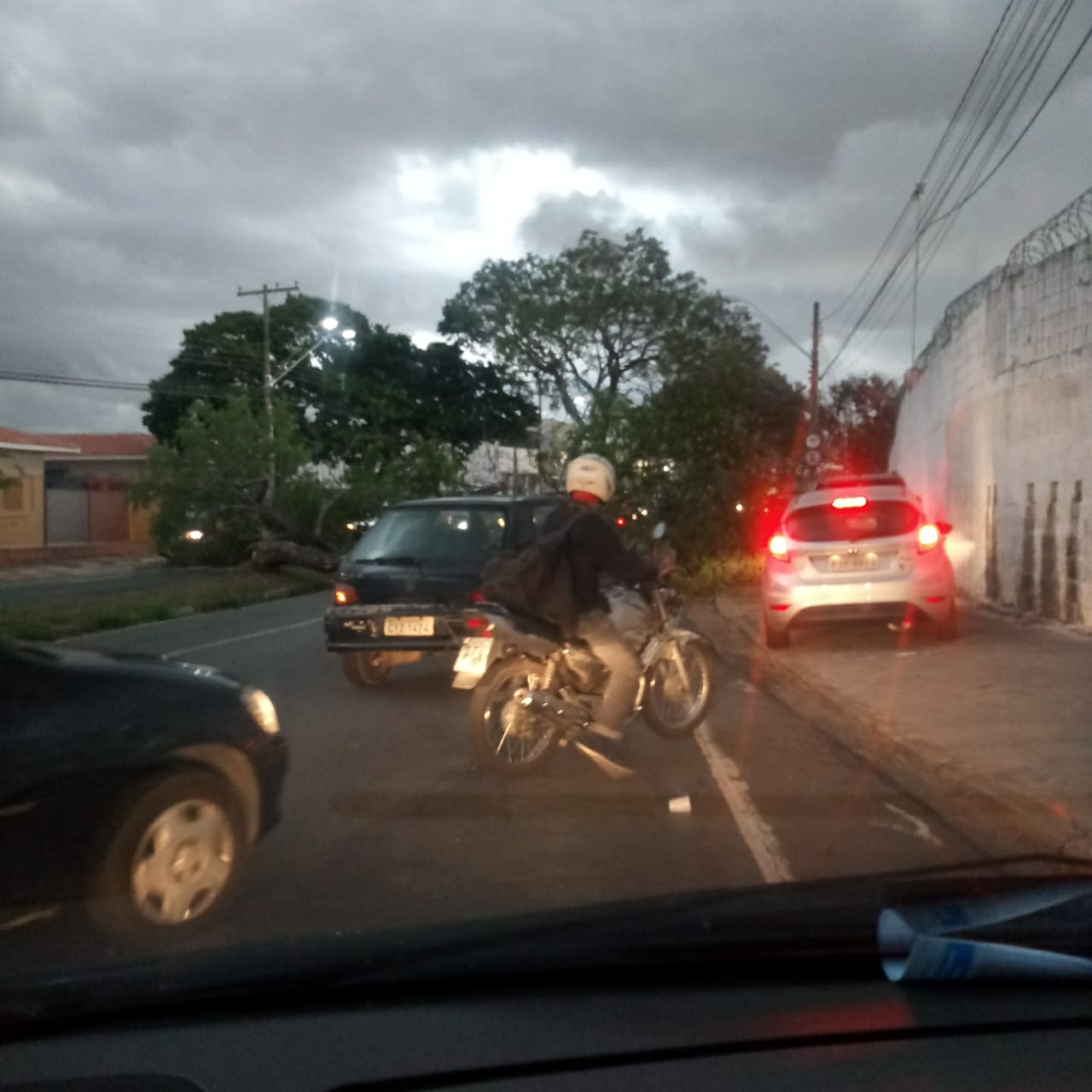 Ventos de quase 100 Km/h derrubam árvores em Campinas