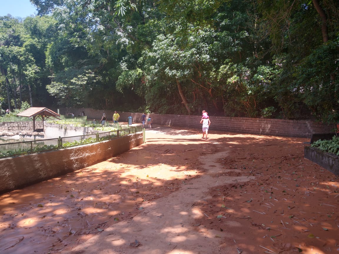 Adutora rompe e barro invade Bosque dos Jequitibás