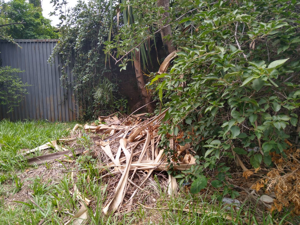 Casa abandonada preocupa vizinhos no Jardim das Paineiras