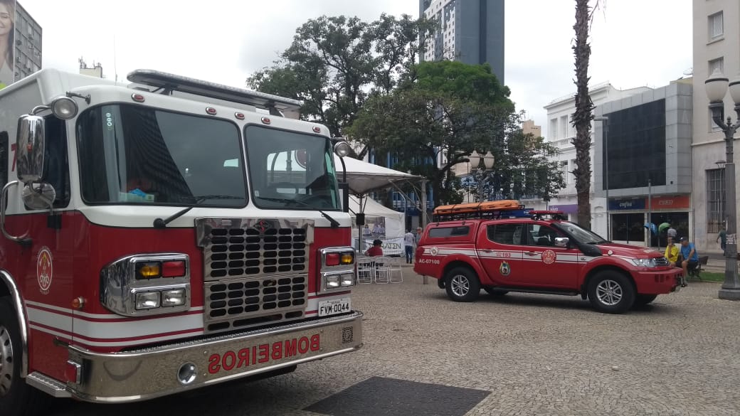 Capivara aparece na Anchieta e é resgatada pelos Bombeiros
