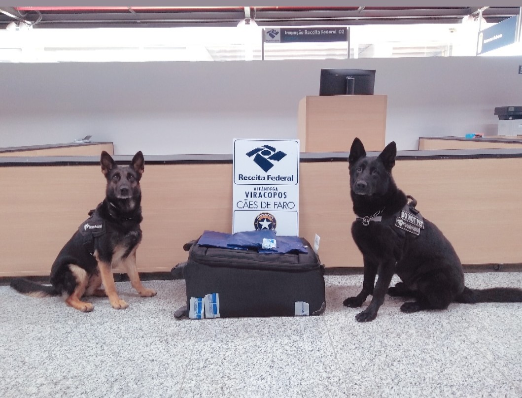 Receita Federal apreende 6 kg de cocaína em Viracopos