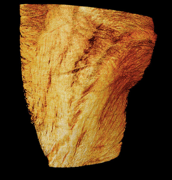 Sirius registra primeiras imagens com luz síncrotron