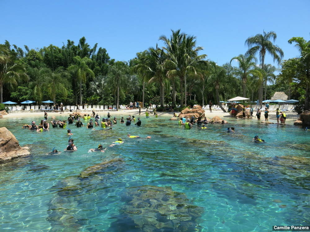 Discovery Cove: visitações diárias são limitadas