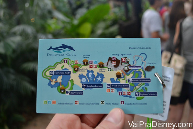 Discovery Cove: não gaste nada além do ingresso