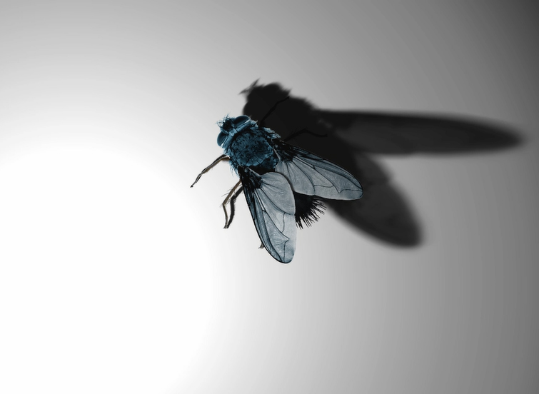 Subsolo recebe exposição simultânea de cinco artistas