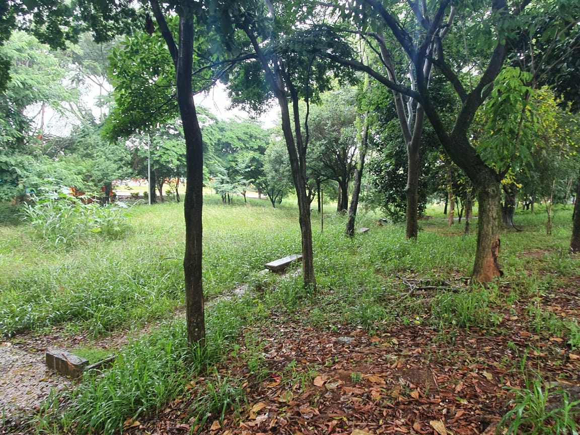 Moradores cobram poda em praça no Von Zuben