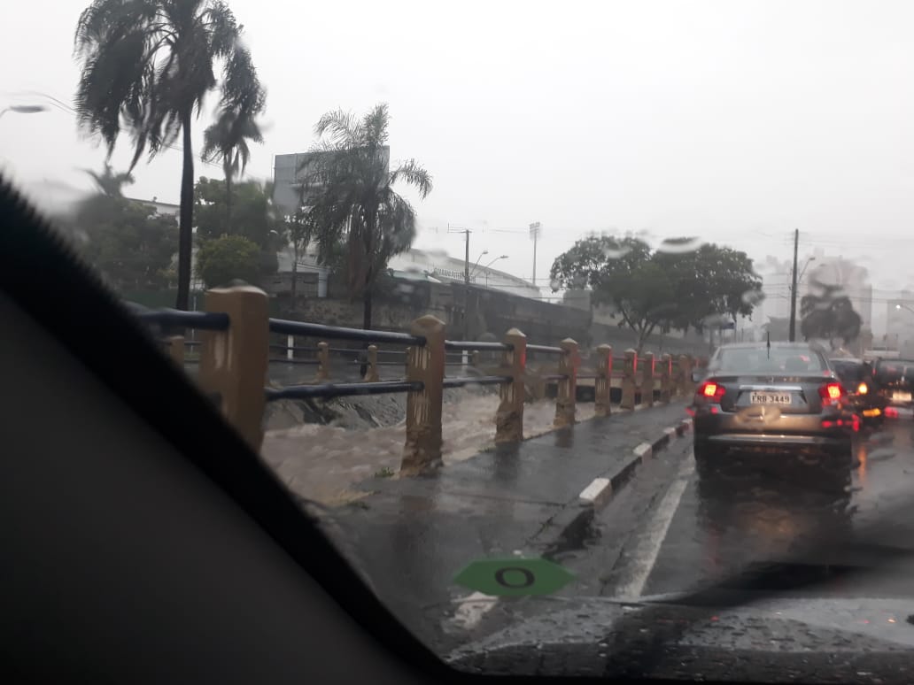 Temporal causa alagamentos e queda de árvore