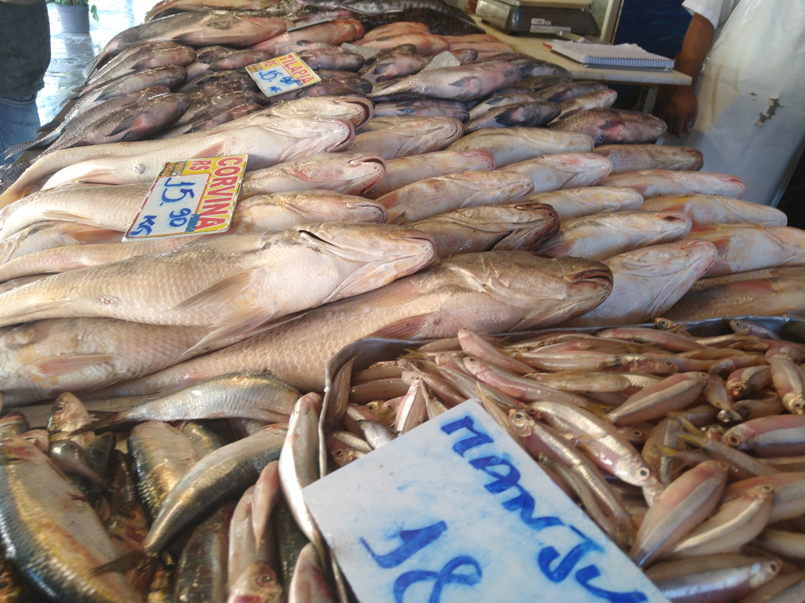 Venda de pescado deve crescer até 10% na Páscoa