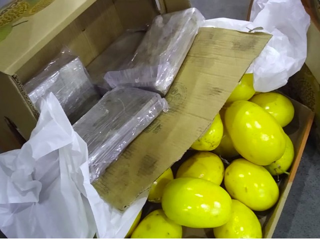 Caixas com frutas escondiam 44 kg de cocaína