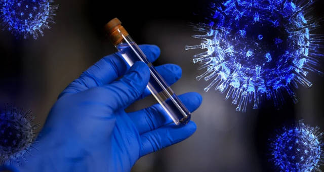 Unicamp mapeia efeito do coronavírus no cérebro