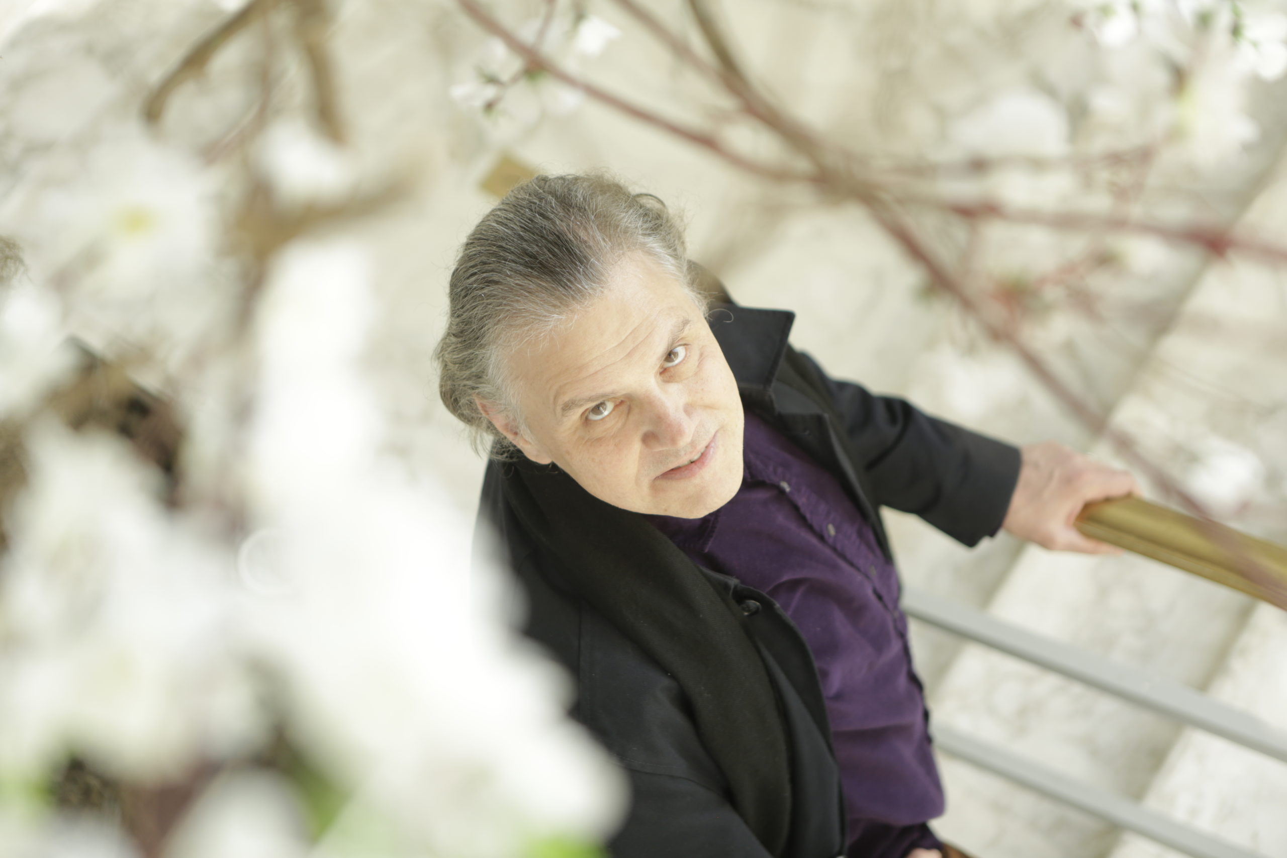 Arrigo Barnabé revisita Clara Crocodilo em show virtual