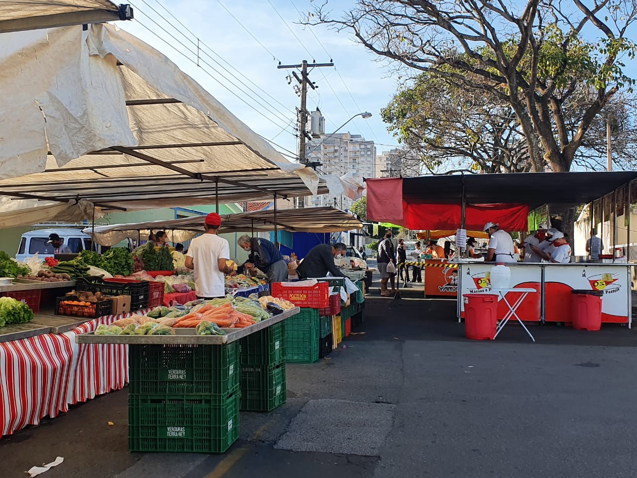 Feiras livres estabilizam preços e respeitam protocolos