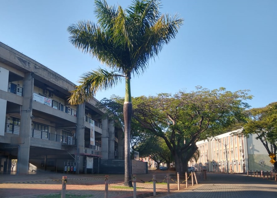 Sem prazo para volta, campus segue vazio