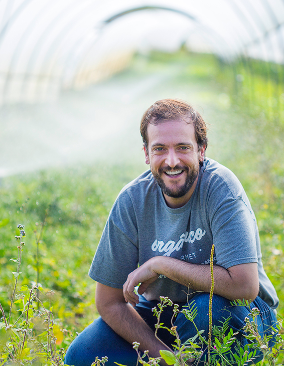 Alimentação saudável