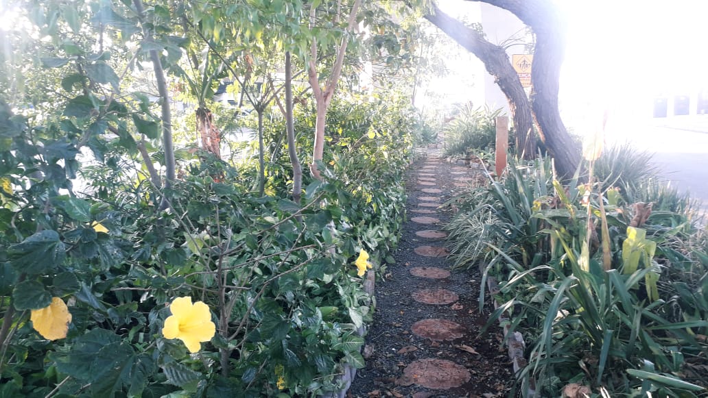 Área verde vai mudar de lugar após obras do BRT