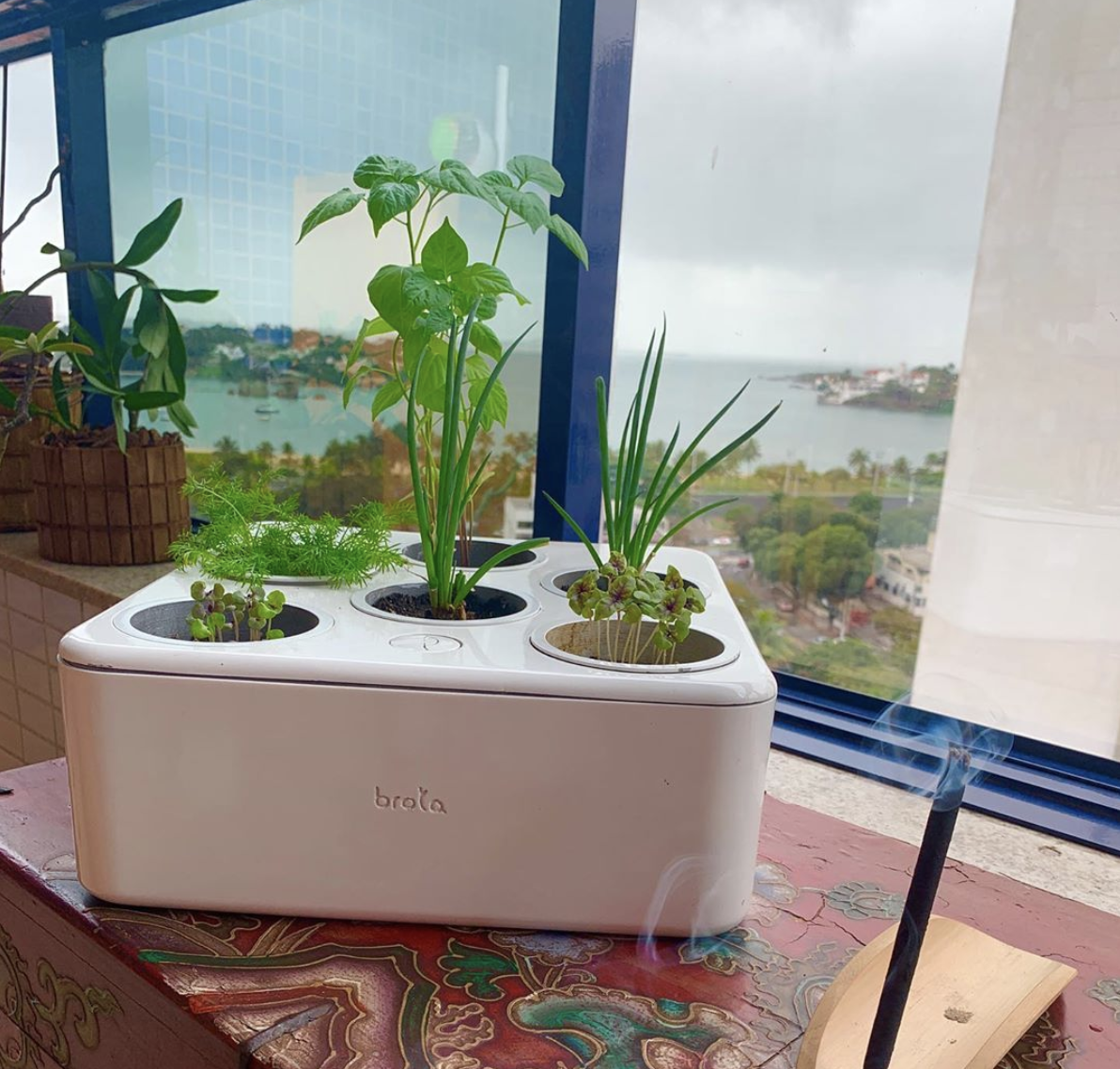 Hortas urbanas inteligentes: tecnologia a favor da sustentabilidade