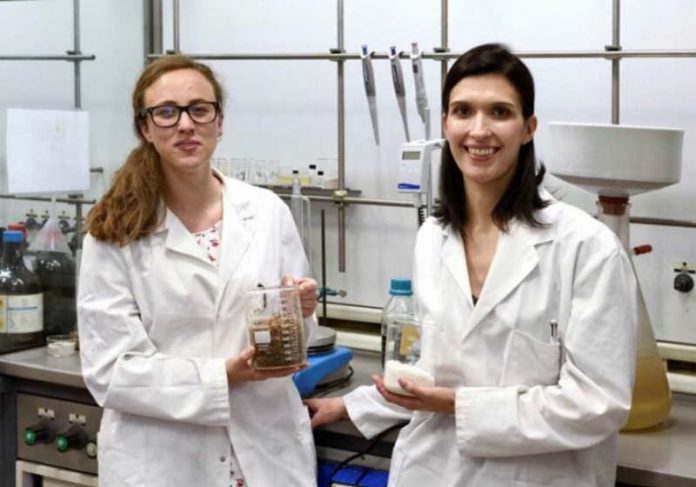 A Boa Notícia: resto de comida na produção de papel