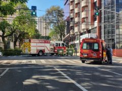 Árvore fecha Júlio de Mesquita