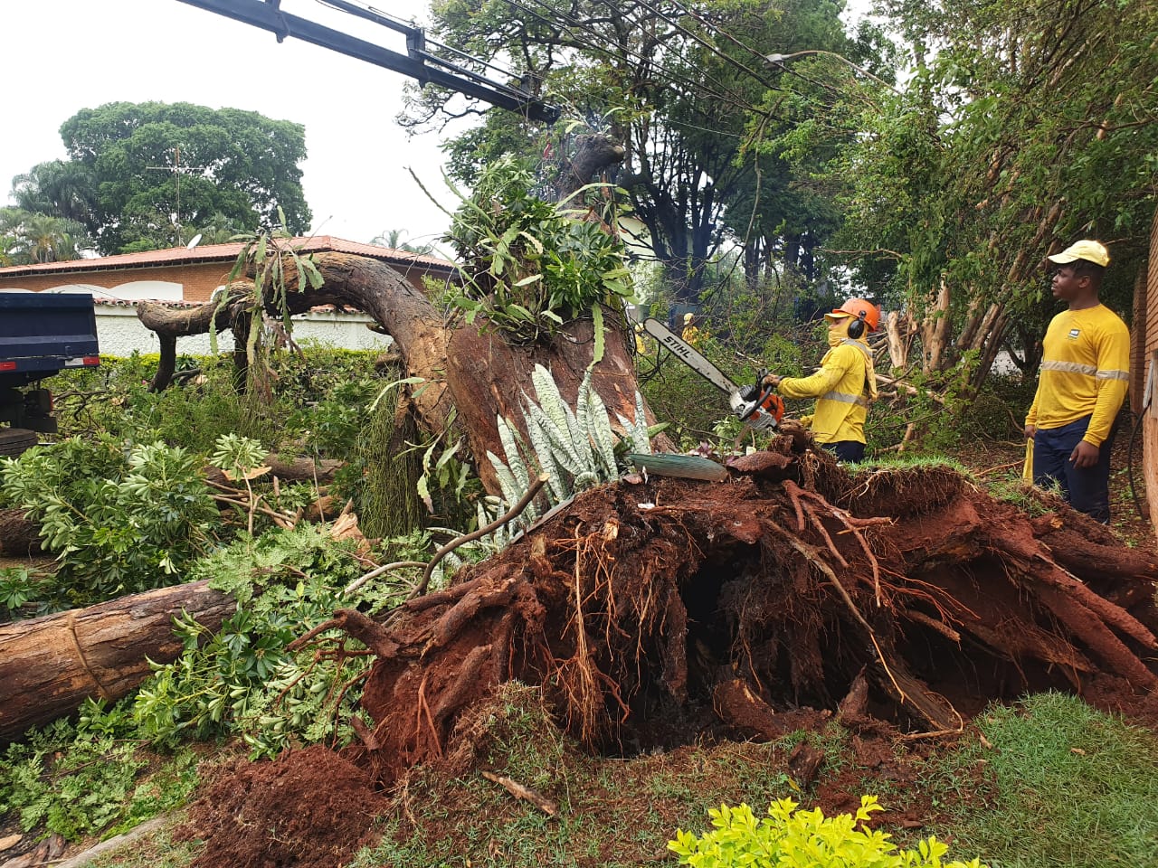 Após tempestade, trabalhos desobstruem ruas