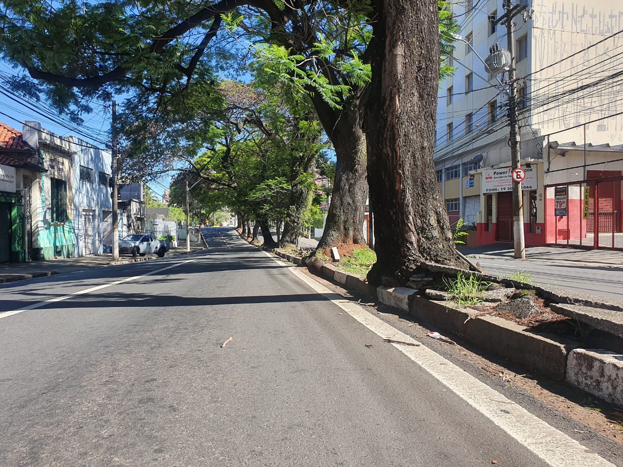 Árvores na Rua Abolição preocupam vizinhos