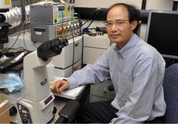 A Boa Notícia: pesquisa reverte efeitos do Alzheimer em ratos