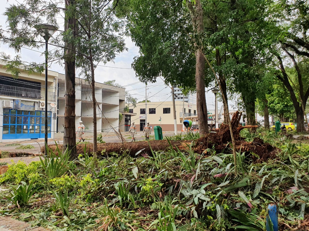 Chuvas da Região de Campinas