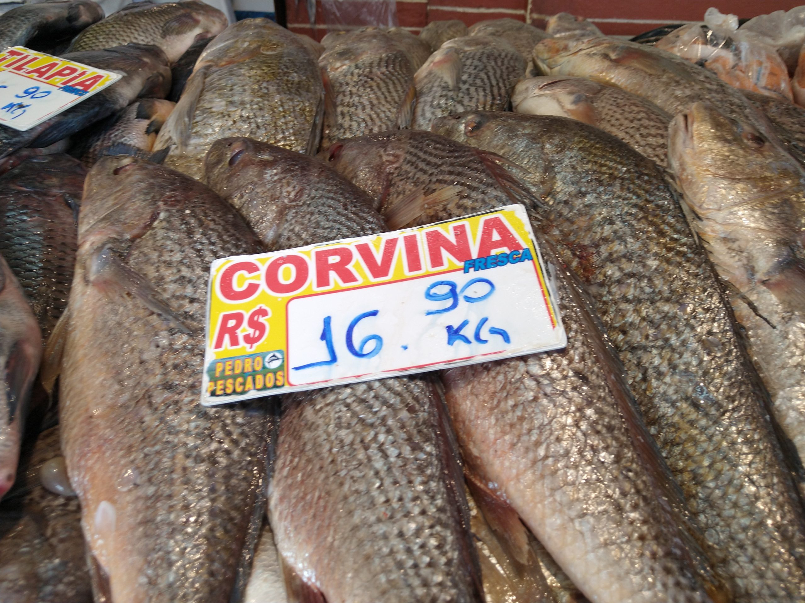 Peixe vira opção para a ceia de natal