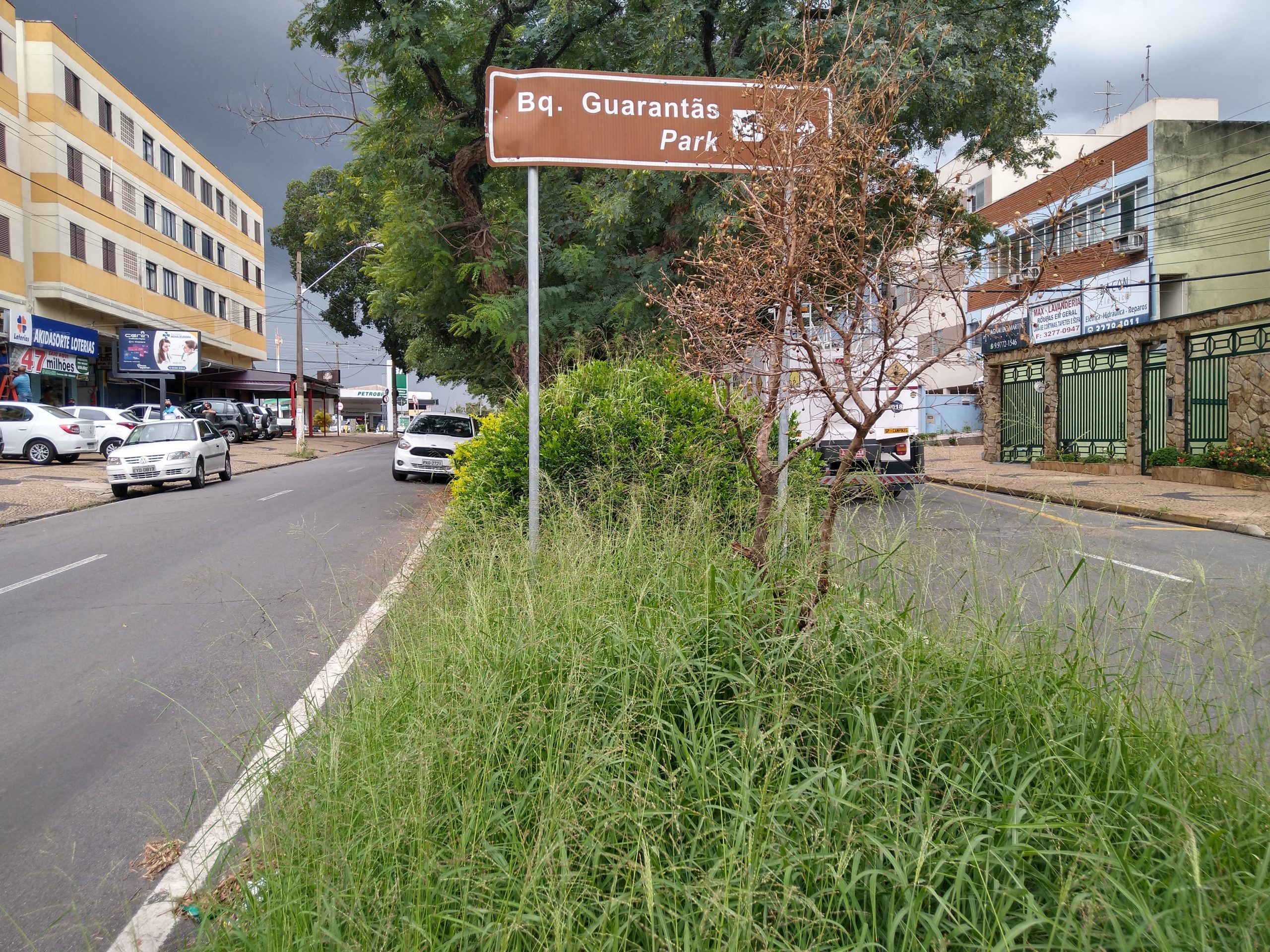 Mato alto incomoda moradores do Nova Europa