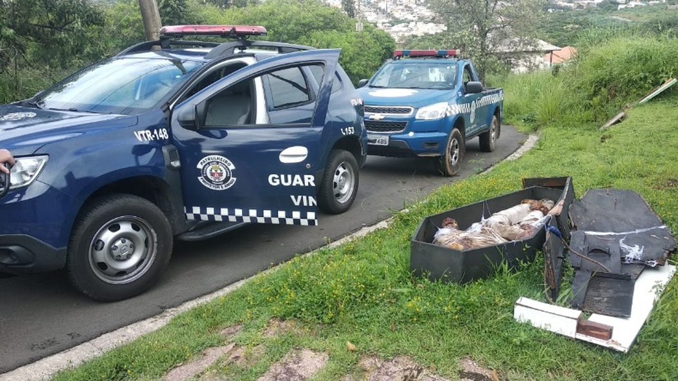 Boneco em caixão mobiliza GCM de Vinhedo