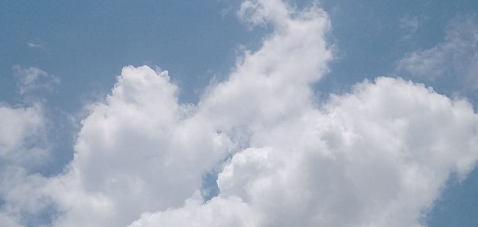 Homens são atingidos por raio em MG – veja o vídeo