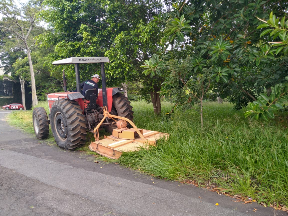 Prefeitura retira mato em região com mais casos de dengue