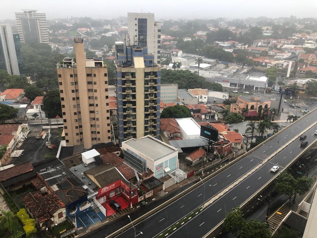 Chuvas provocam quedas de árvores em Campinas