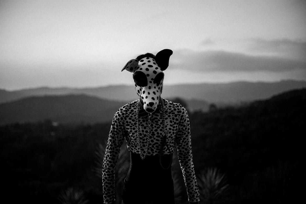 XII Festival Hercule Florence amplia acesso a arte em Campinas