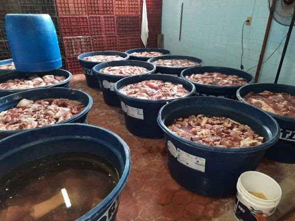Polícia apreende 600 kg de carne clandestina em Campinas