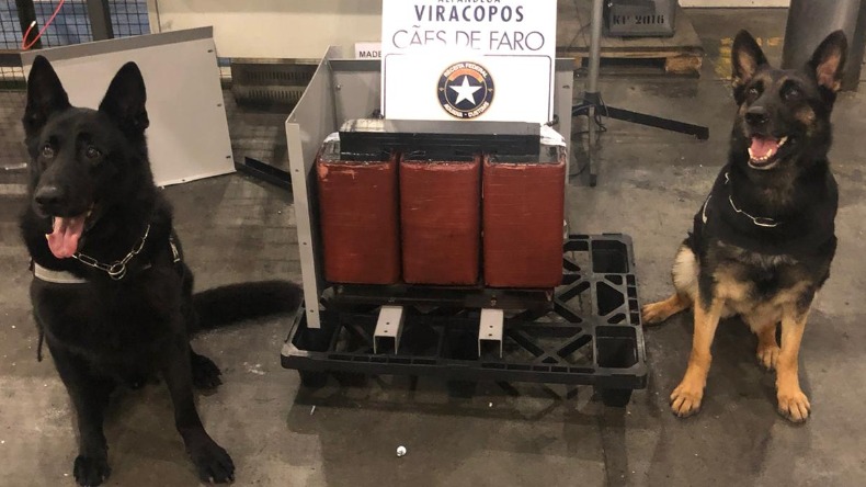 Receita Federal encontra 6kg de cocaína em Viracopos