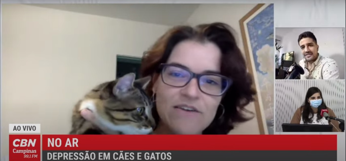 Vida Pet – Depressão em cães e gatos