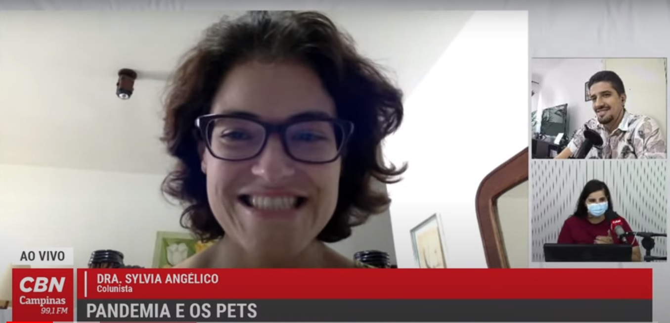Vida Pet – A pandemia e os efeitos nos pets